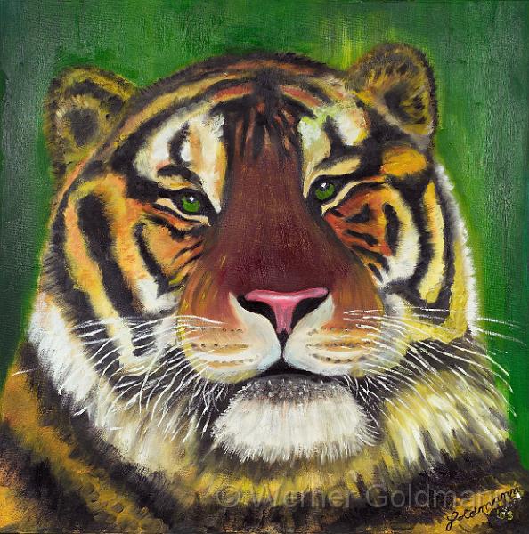 Tiger (80x80)cm.jpg - Tiger (80x80)cm